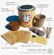 Purrfect Treat. Eco Grow Your Own Plant Kit, Gardening Kit.