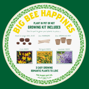 Big Bee Happiness Eco Plant Grow Kit, Gardening Gift
