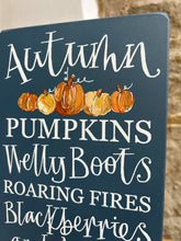 Limited Edition AUTUMN Goose and Grey Signature Board in Denim